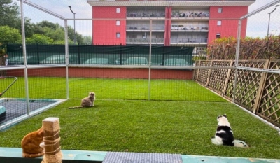 Reti protettive e recinti gatti per giardini